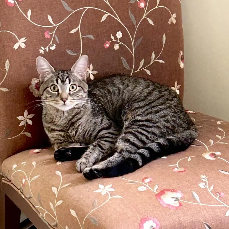 Georgina thumbnail 4