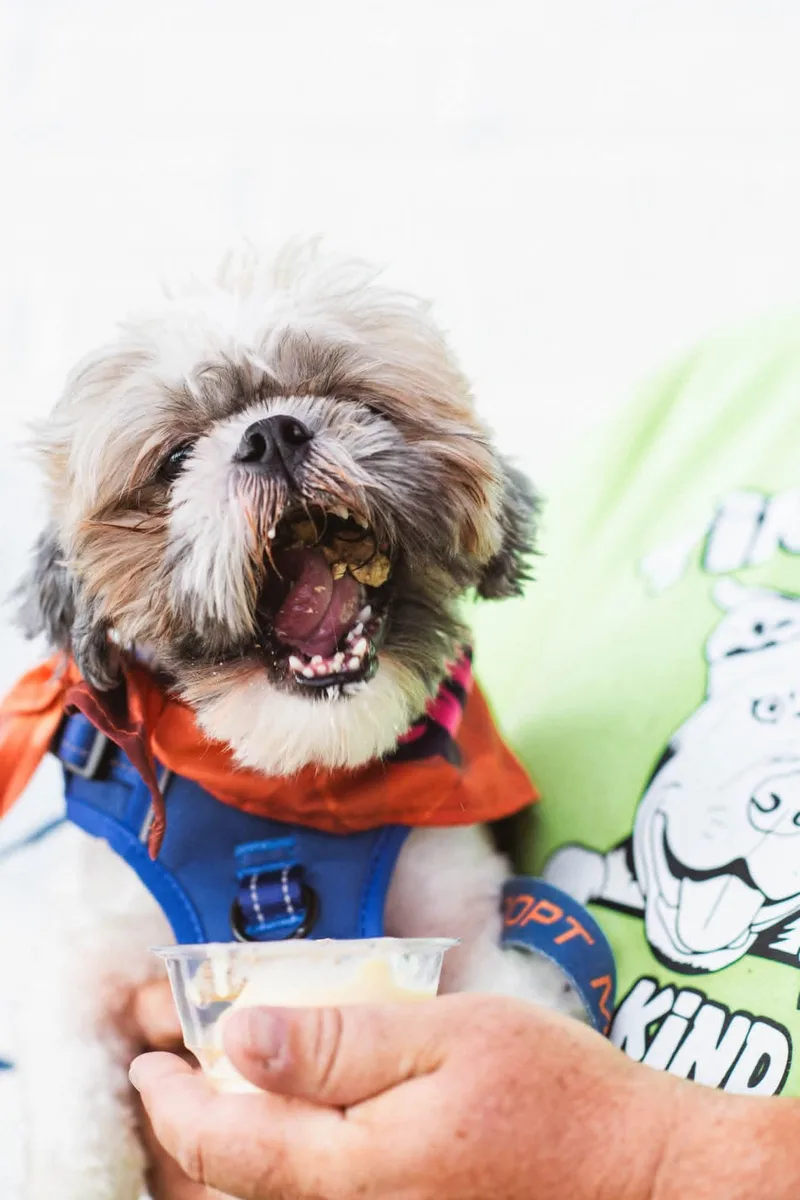 Churro thumbnail 2