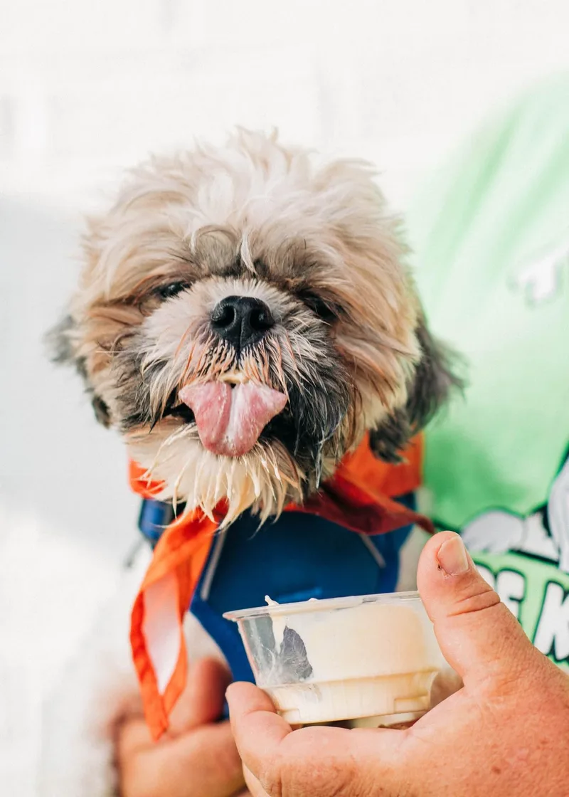 Churro thumbnail 3