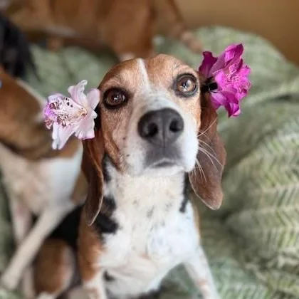 Matty & Ellie thumbnail 3