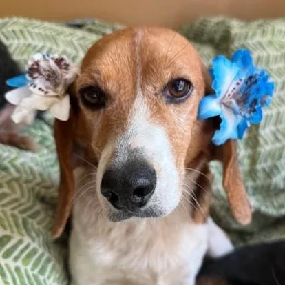 Matty & Ellie thumbnail 4