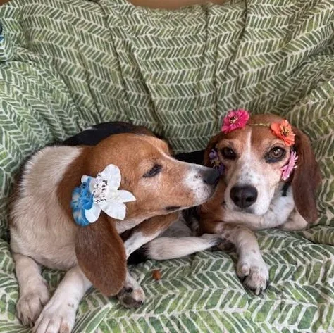 Matty & Ellie thumbnail 5