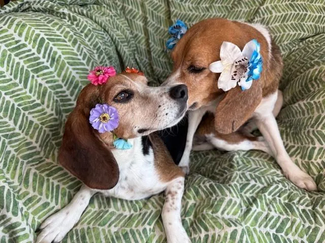 Matty & Ellie thumbnail 6