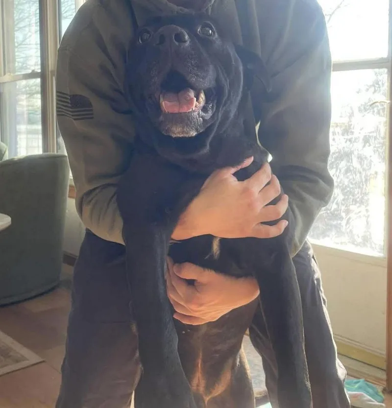 Mars Bar thumbnail 3