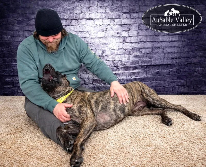 Tandoori thumbnail 4