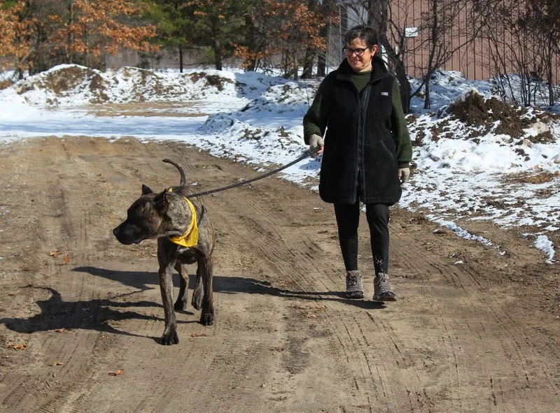 Tandoori thumbnail 6