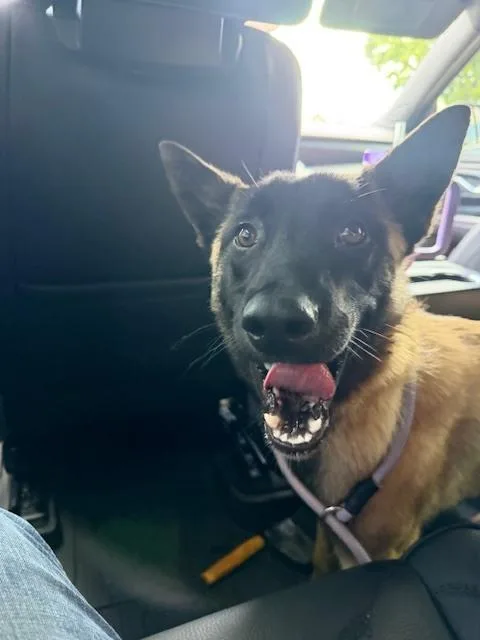 Pedro in CA thumbnail 5
