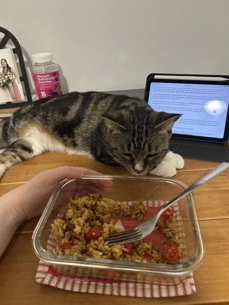 Brittany thumbnail 2