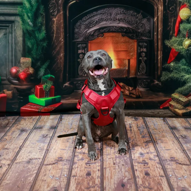 Mama Shadow thumbnail 2