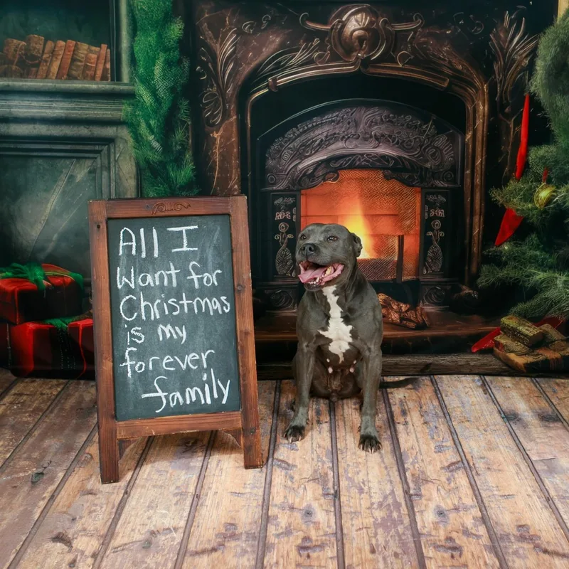 Mama Shadow thumbnail 3