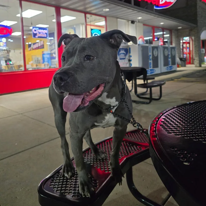 Mama Shadow thumbnail 4