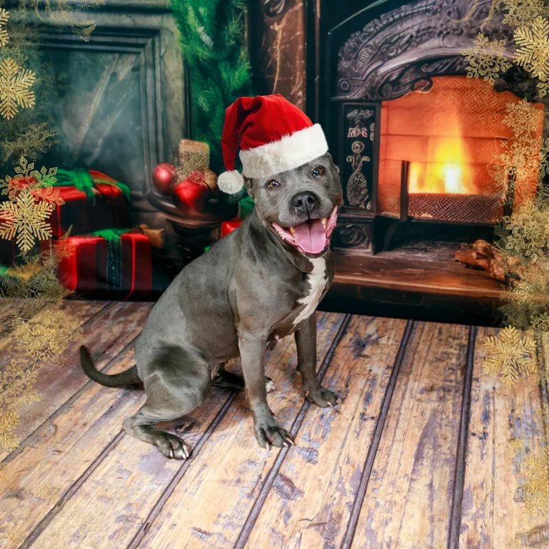 Mama Shadow thumbnail 5