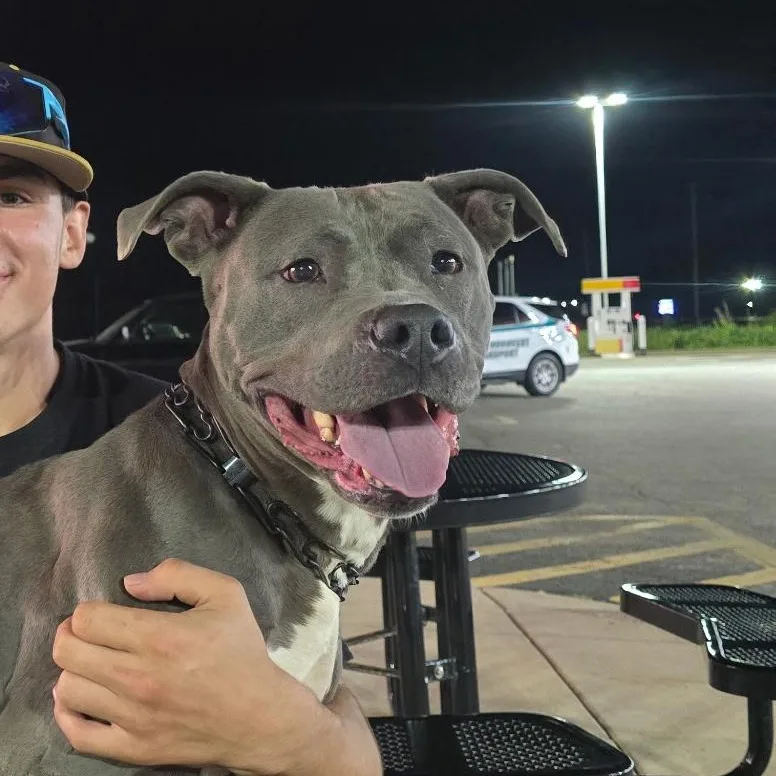 Mama Shadow thumbnail 6