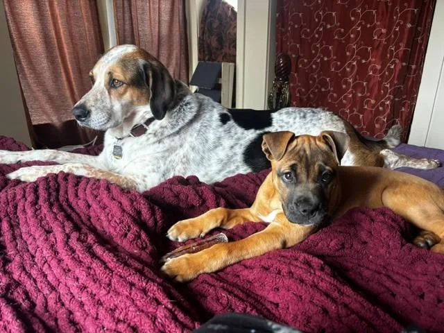 Charlotte Cutiepie  Local thumbnail 2