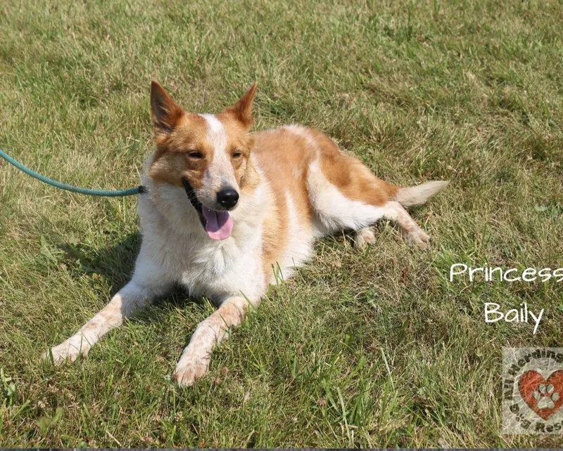 Princess Bailey thumbnail 2