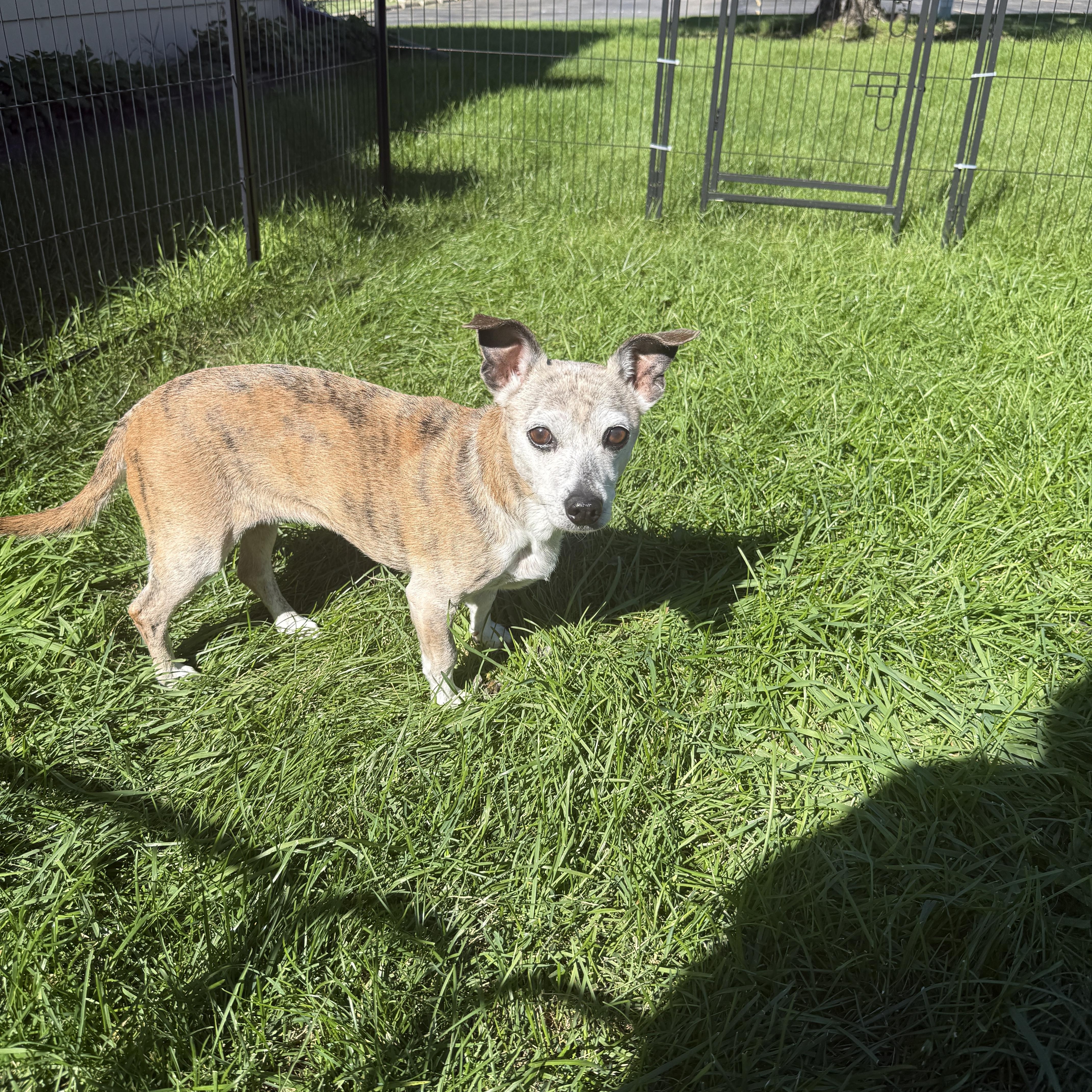 Missy thumbnail 6