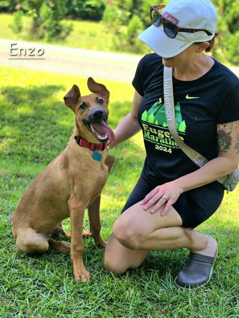 Enzo thumbnail 4