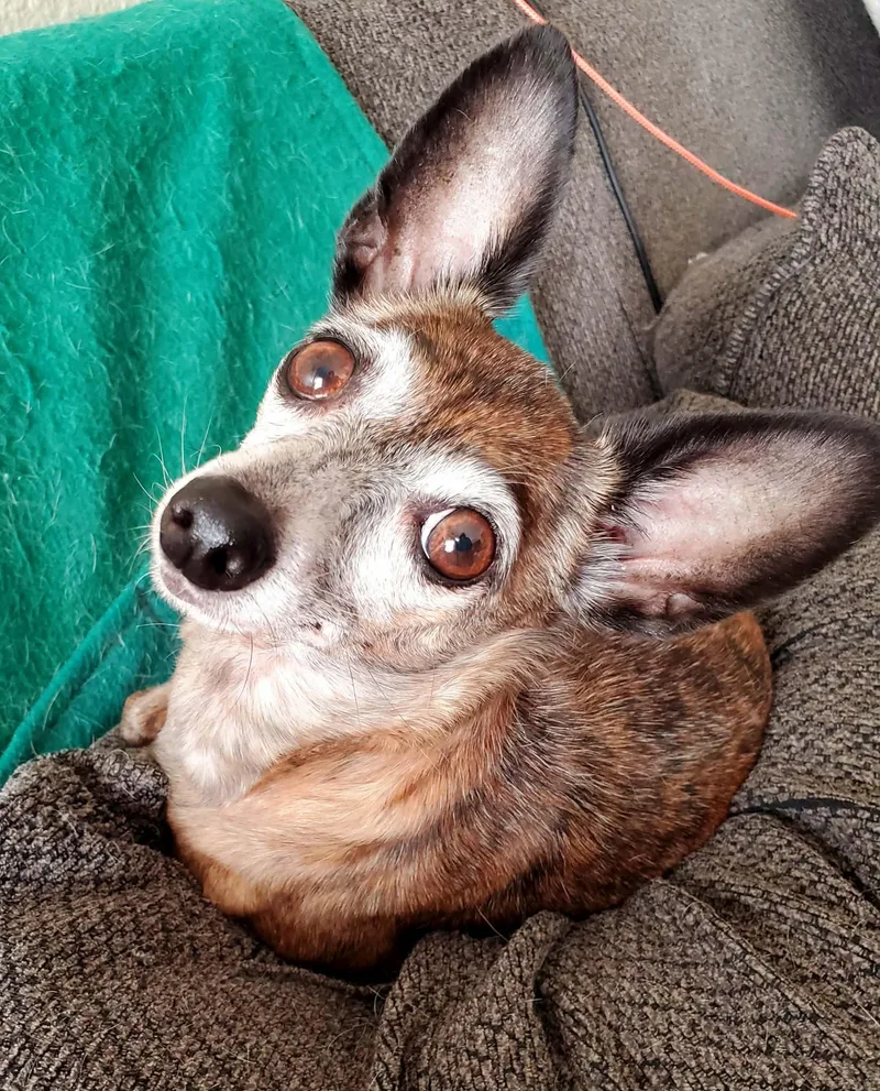 Beatrix And Remy thumbnail 3