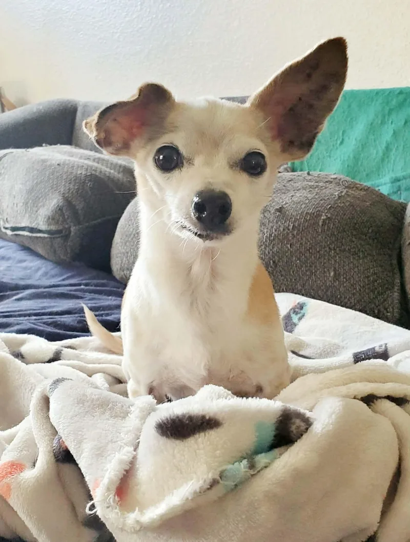 Beatrix And Remy thumbnail 4