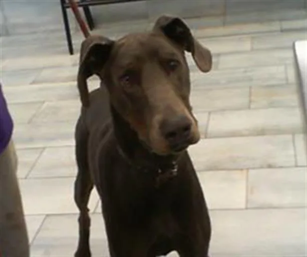 Winston