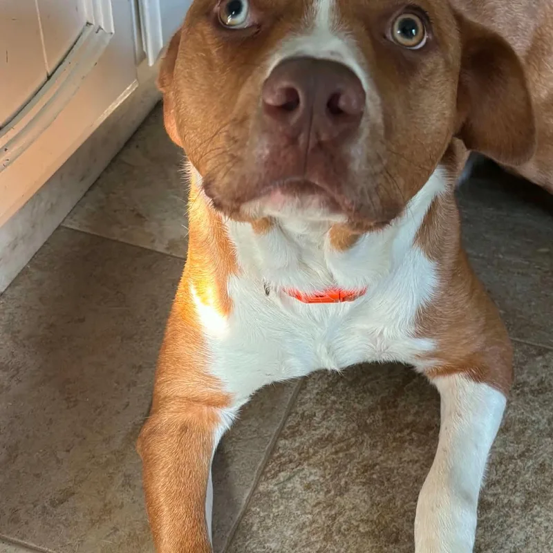 Rusty
