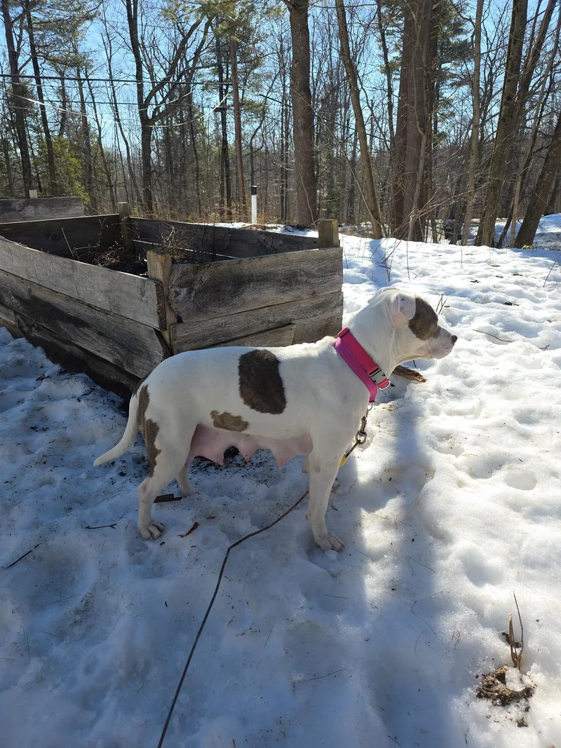 Glitter Gal thumbnail 2