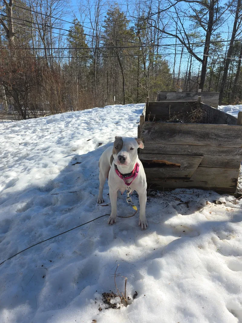 Glitter Gal thumbnail 6