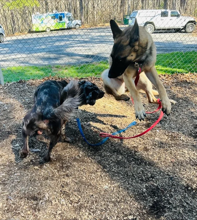 Charlotte Located In Al thumbnail 5