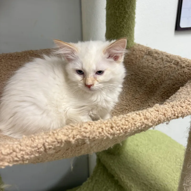 Kentucky thumbnail 2