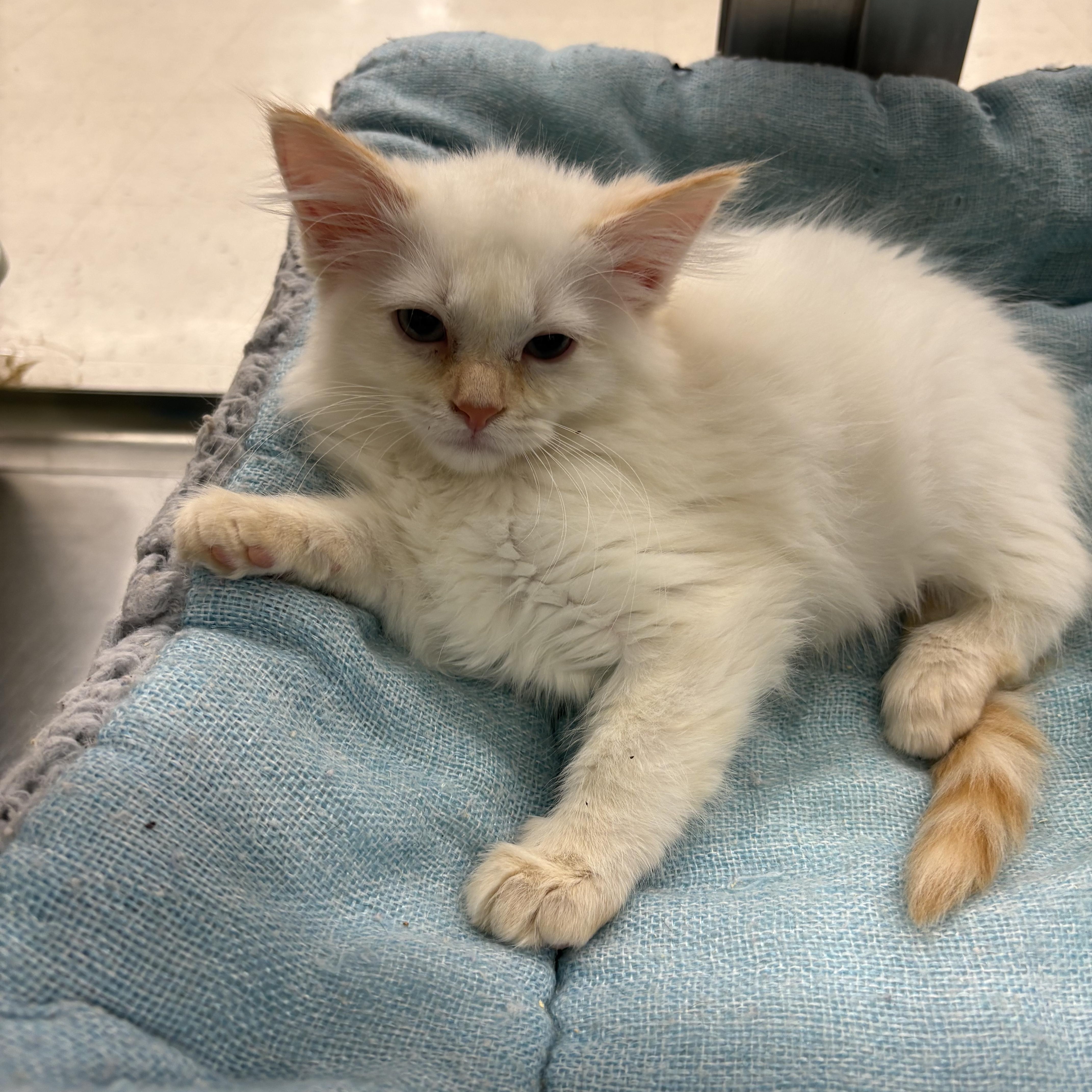 Kentucky thumbnail 3