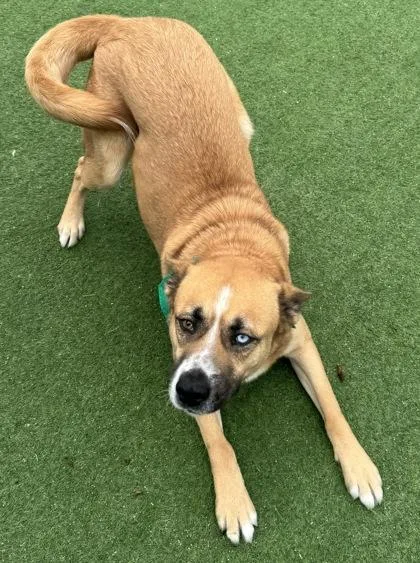 Kita