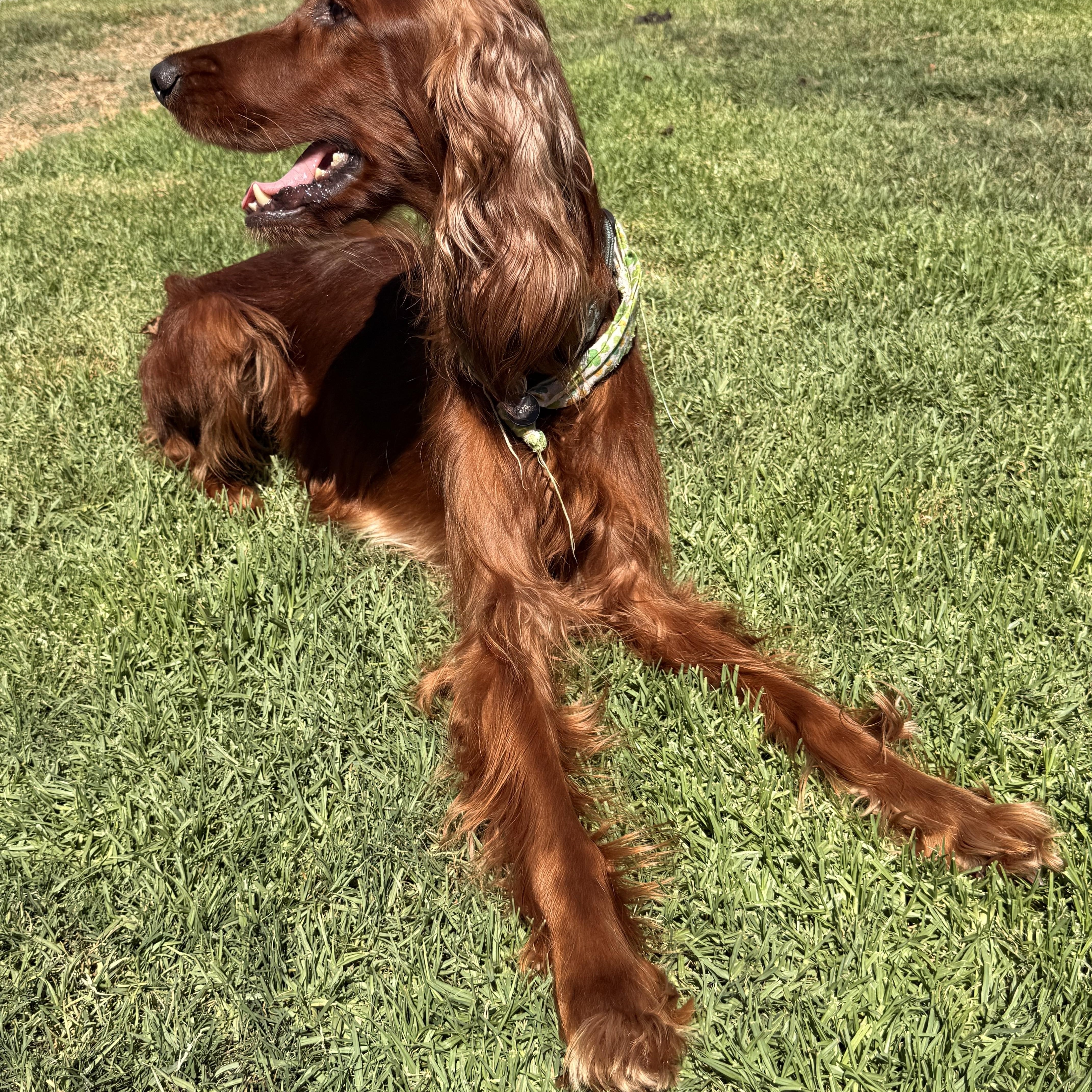 Maggie thumbnail 3