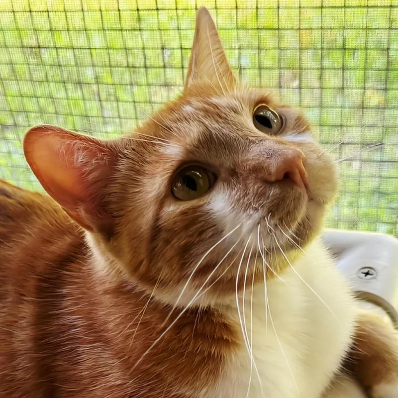 Danny thumbnail 2