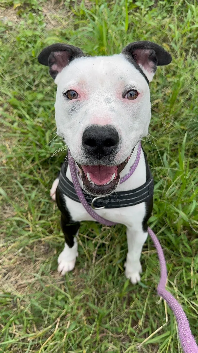 Lola