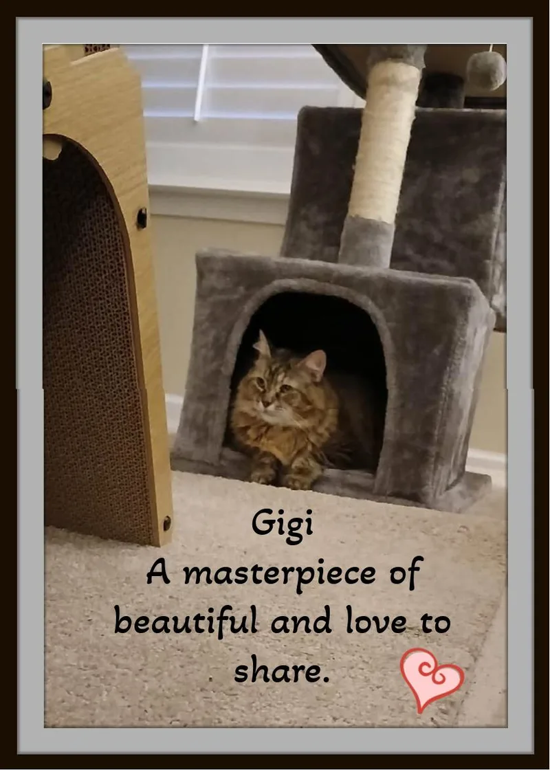 Gigi  A Large thumbnail 4