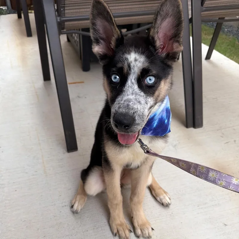 Luna