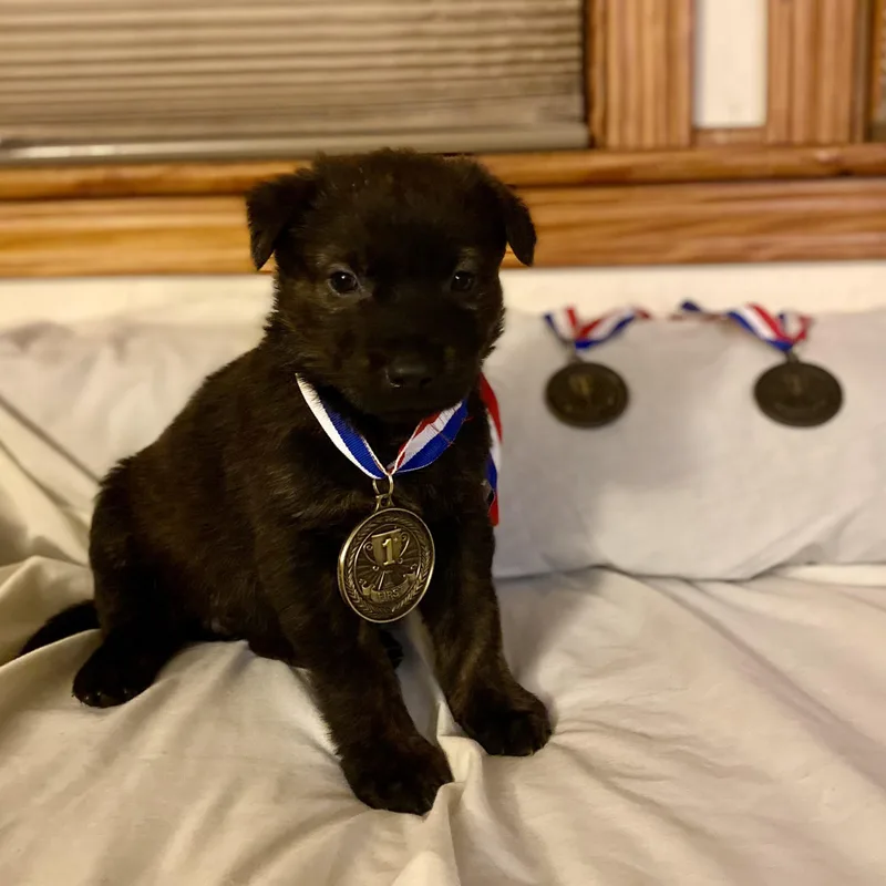 Jessie Diggins thumbnail 2