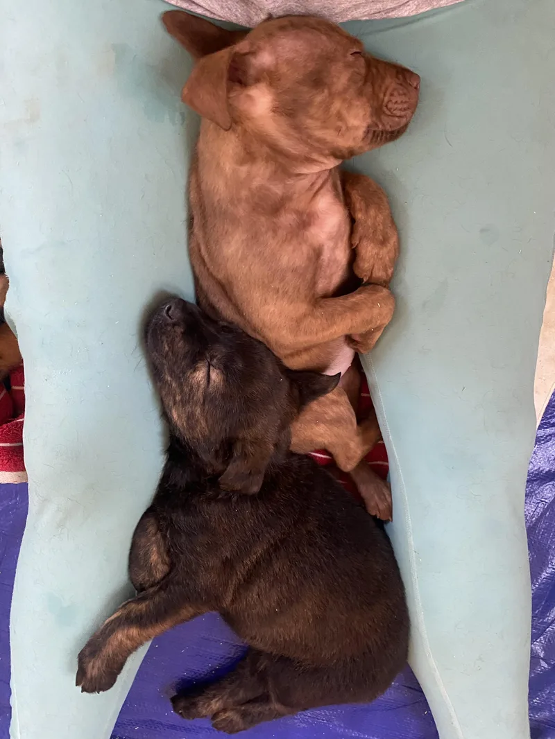 Jessie Diggins thumbnail 3