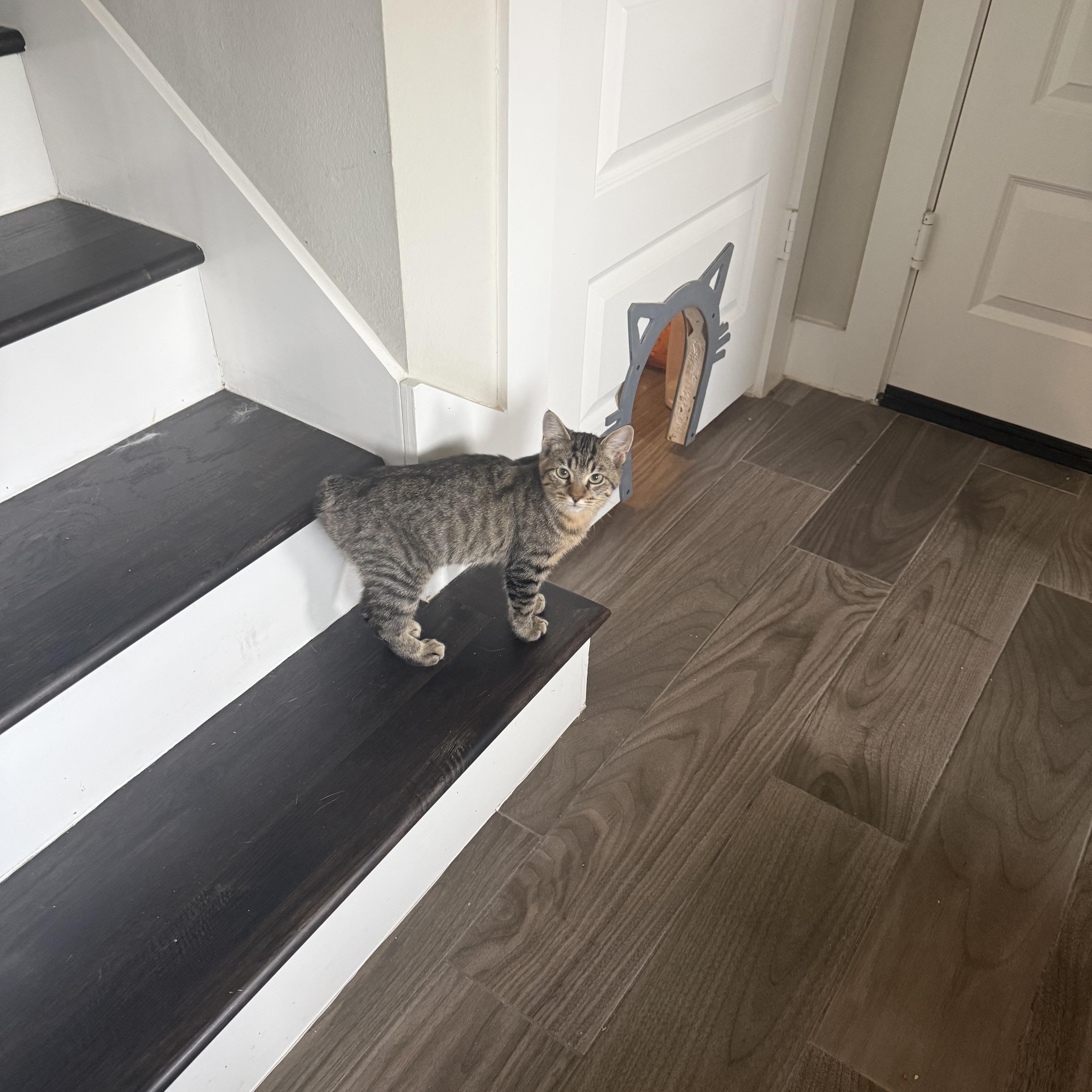 Short Stack thumbnail 3