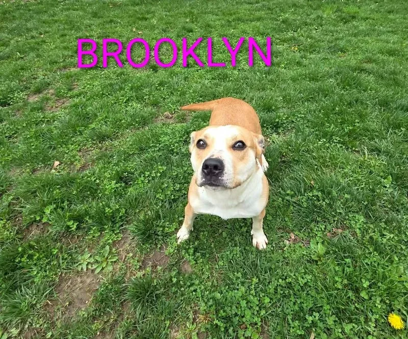 Brooklyn