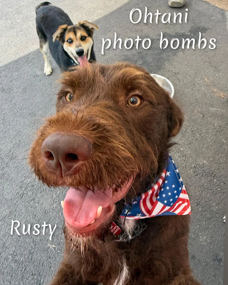 Rusty thumbnail 2