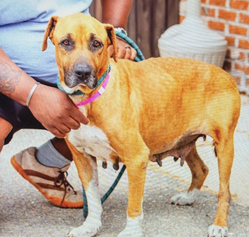 Etta Looking For Loving