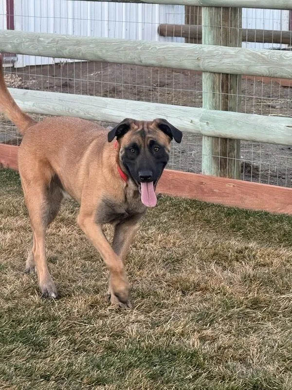 Marlon  Courtesy Listing thumbnail 2