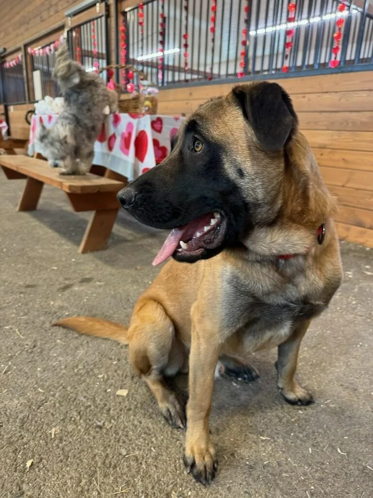 Marlon  Courtesy Listing thumbnail 3