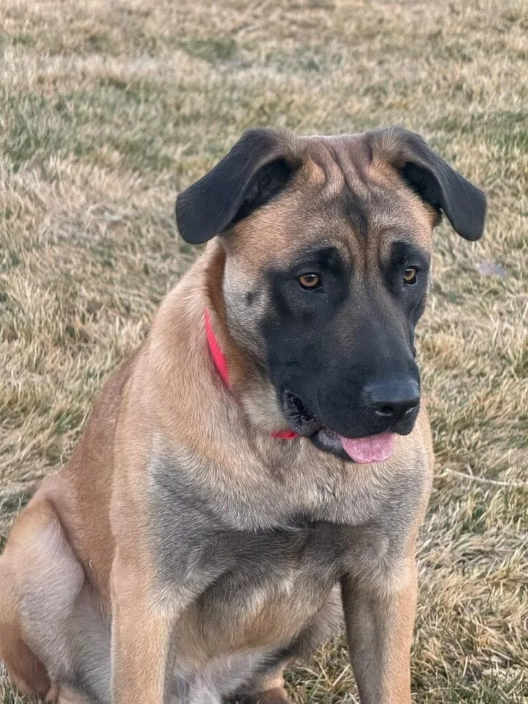 Marlon  Courtesy Listing