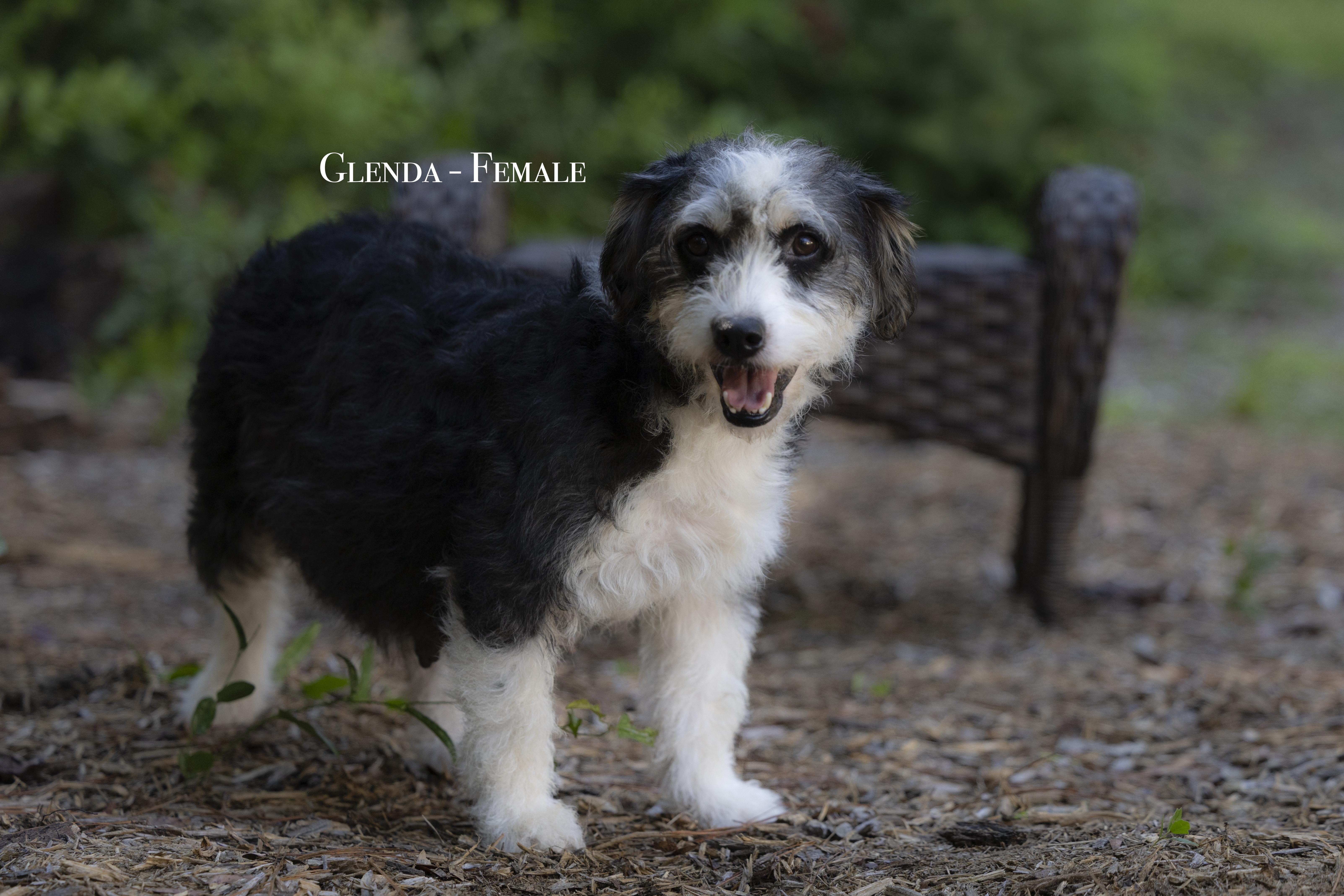 Glinda
