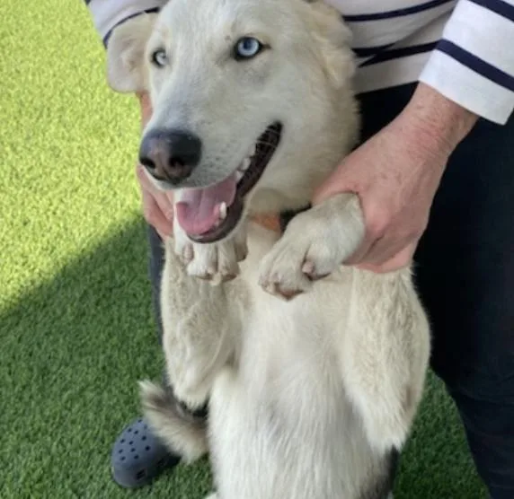 Sunshine thumbnail 2