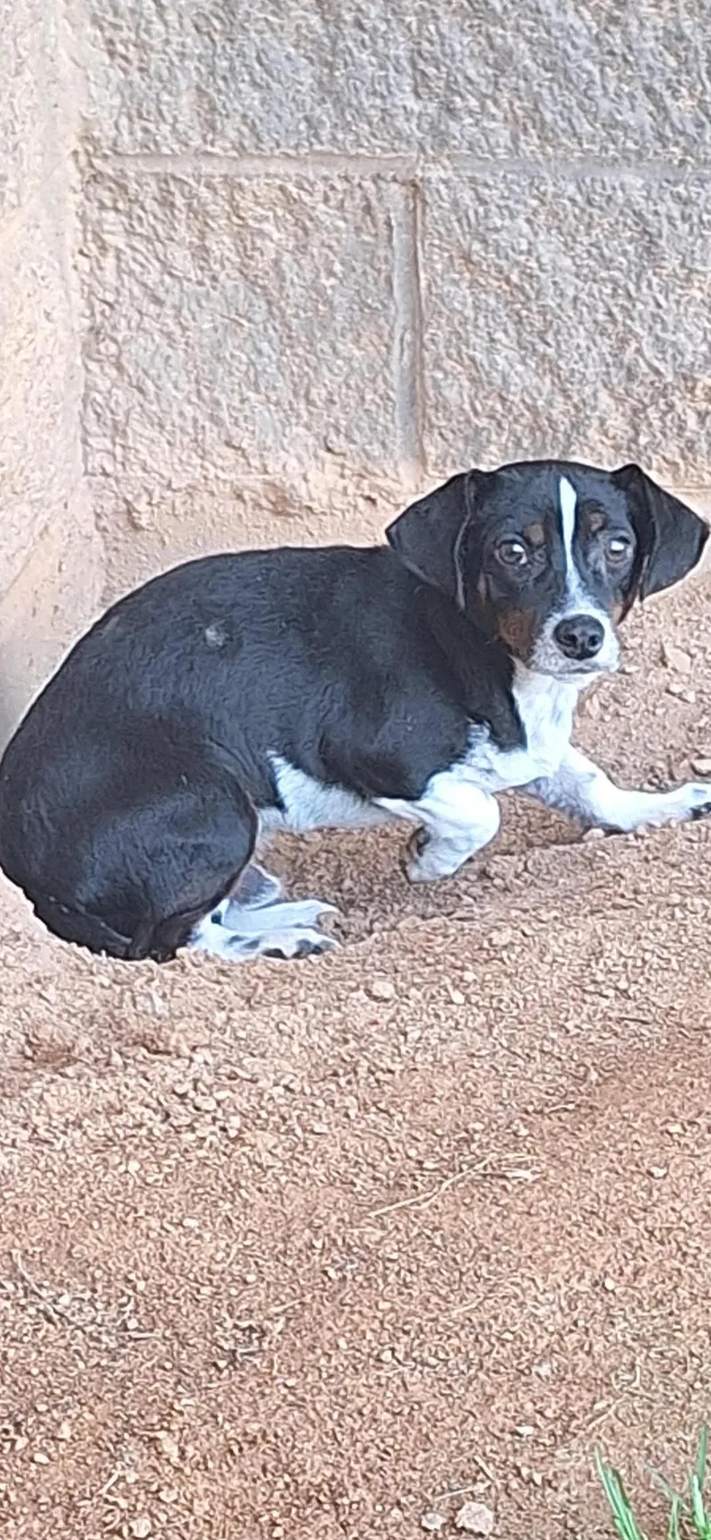 Charlie Brown thumbnail 5