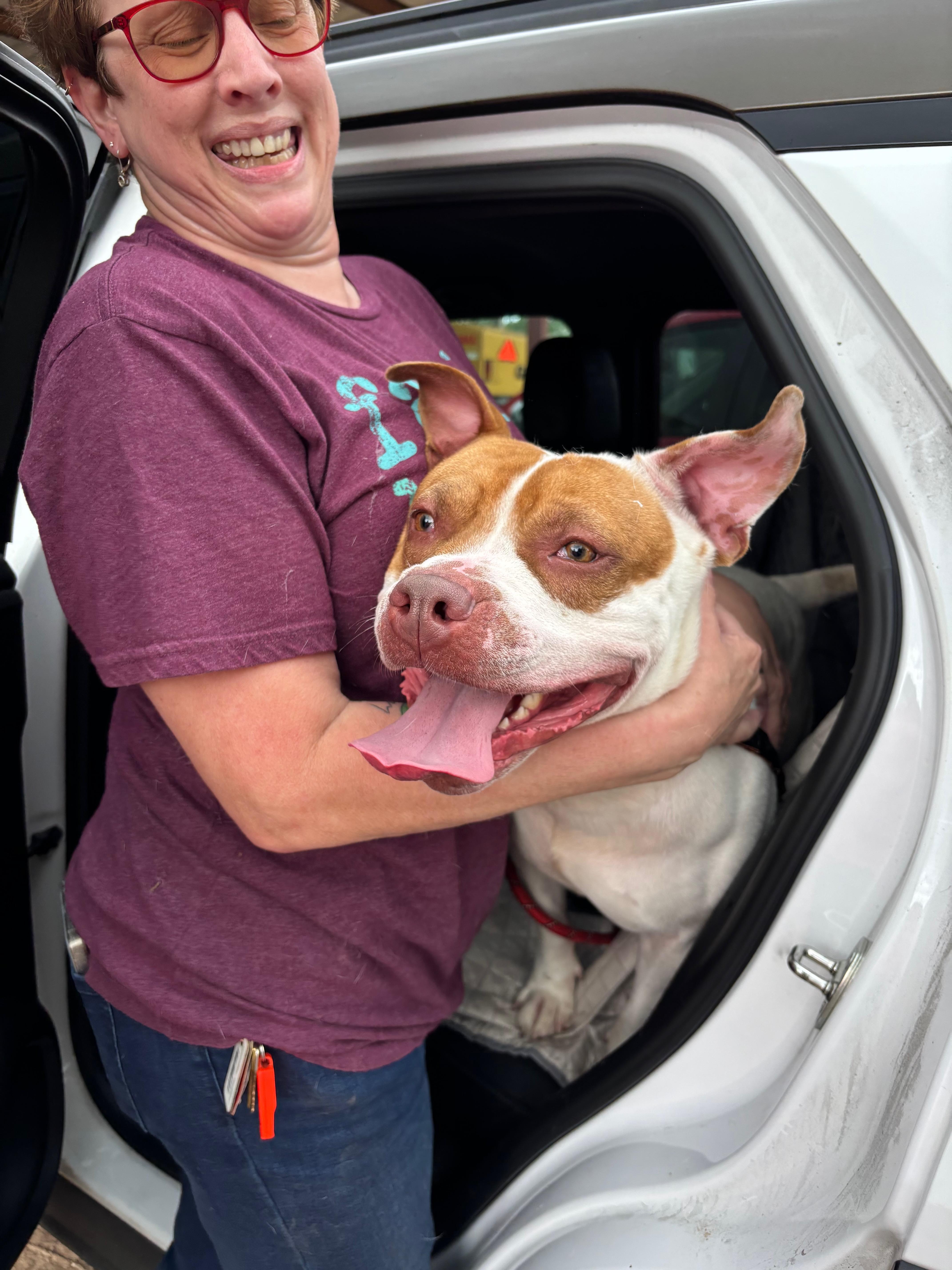 Prince Cannoli thumbnail 3