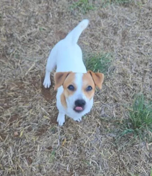 Lenny in TX thumbnail 2